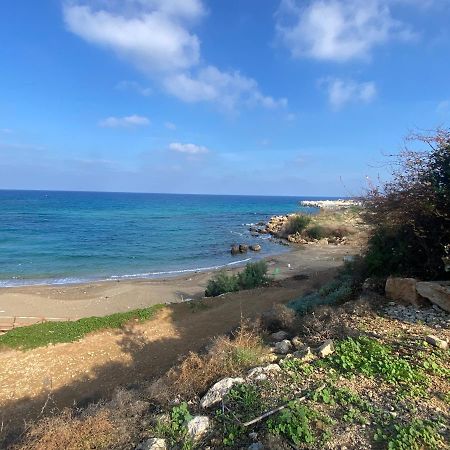 Olive Tree Villa - بروتاراس المظهر الخارجي الصورة