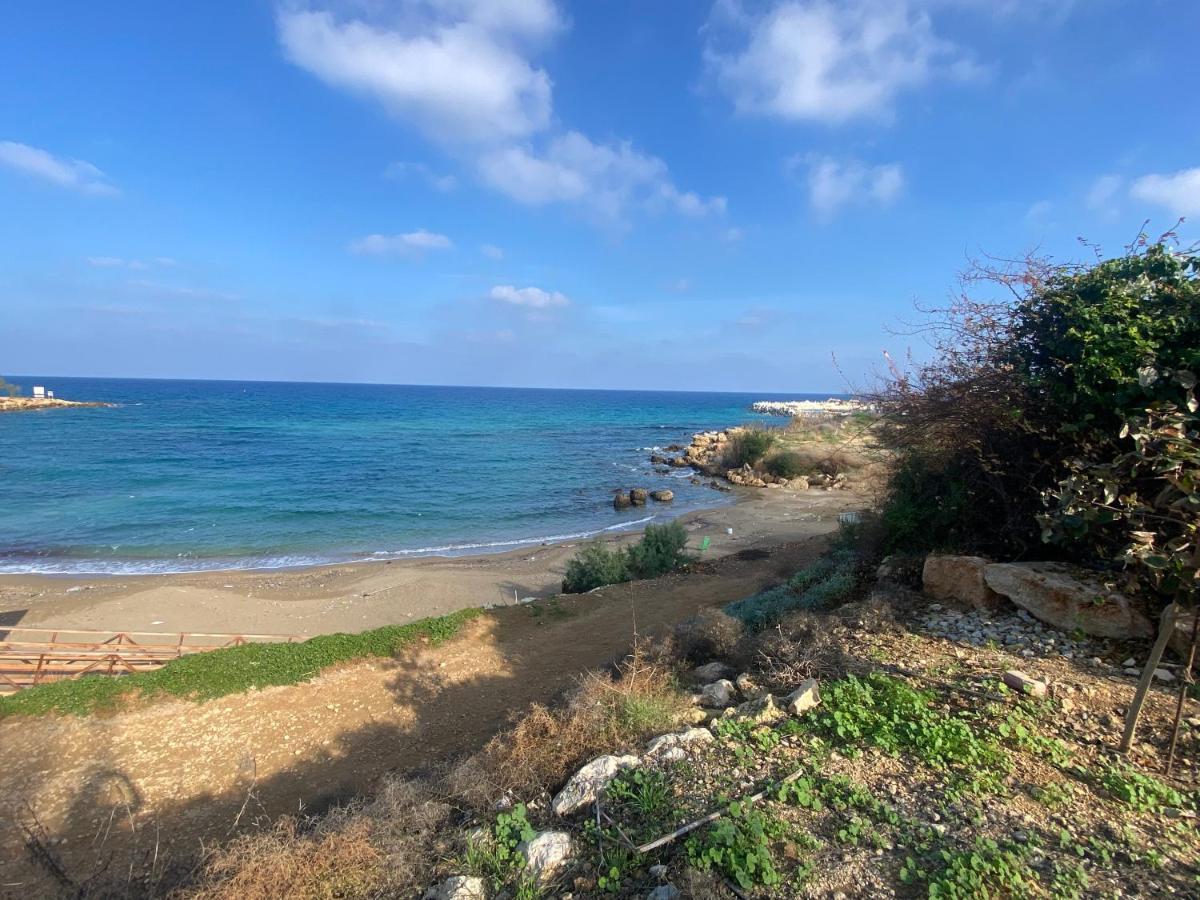 Olive Tree Villa - بروتاراس المظهر الخارجي الصورة