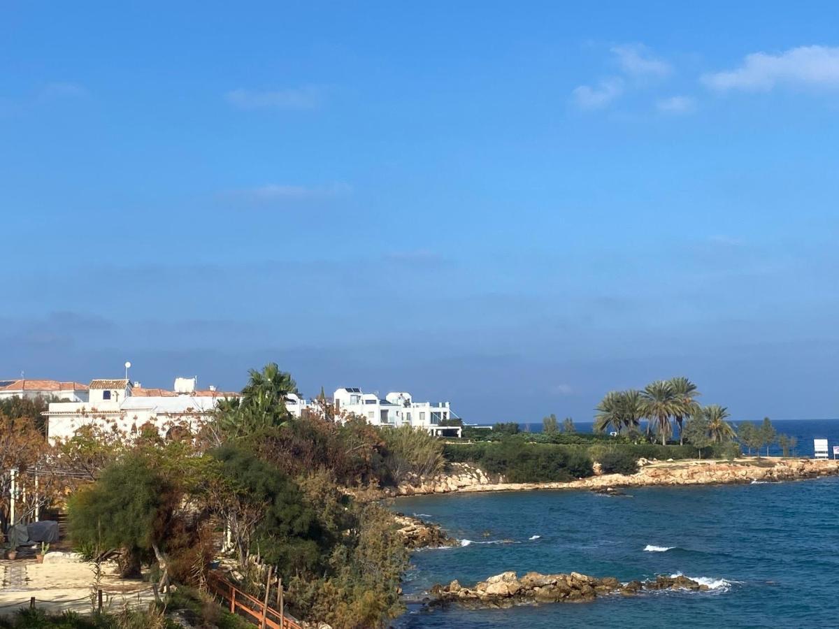 Olive Tree Villa - بروتاراس المظهر الخارجي الصورة